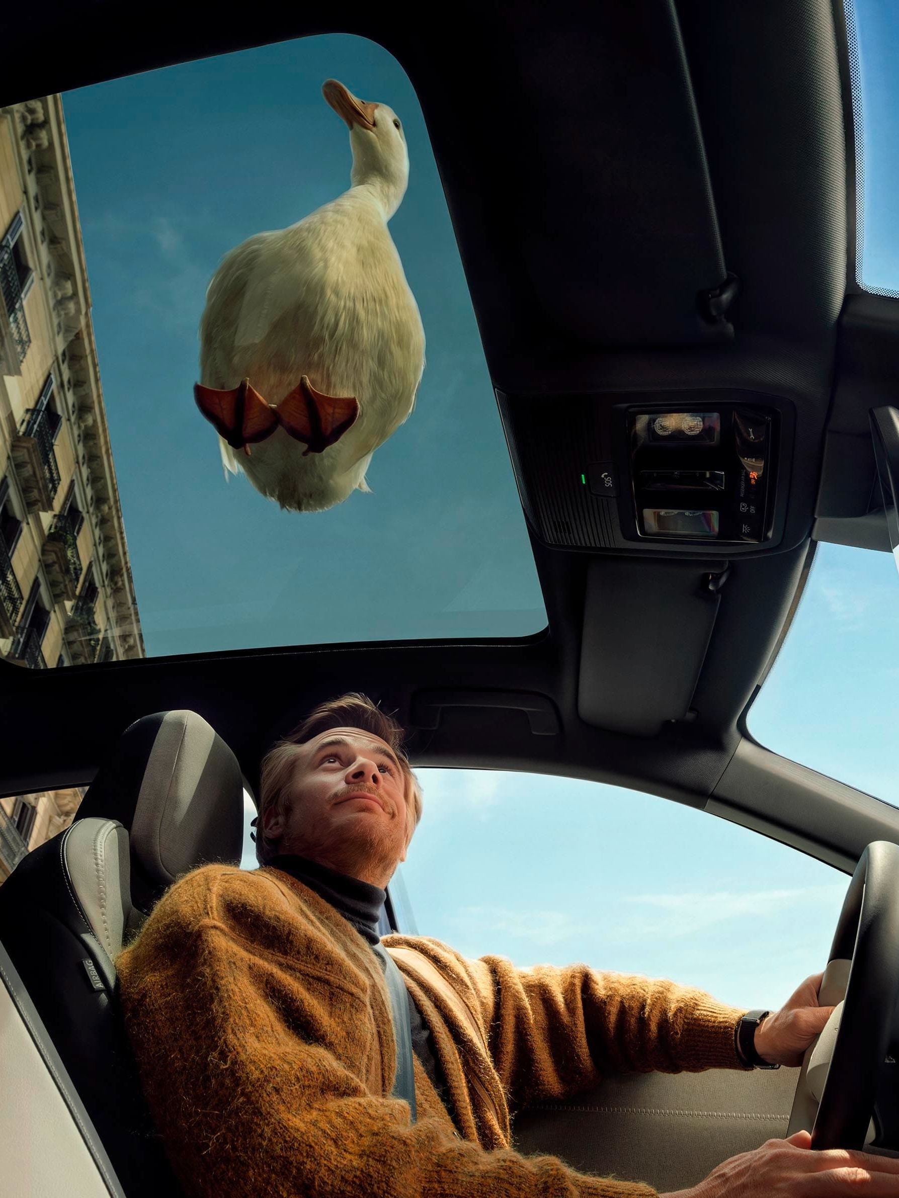 Um homem está sentado no lugar do condutor de um VW ID. Polo e olha para cima, através do teto panorâmico. Um pato branco está pousado sobre o carro.